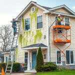 czyszczenie elewacji z glonów